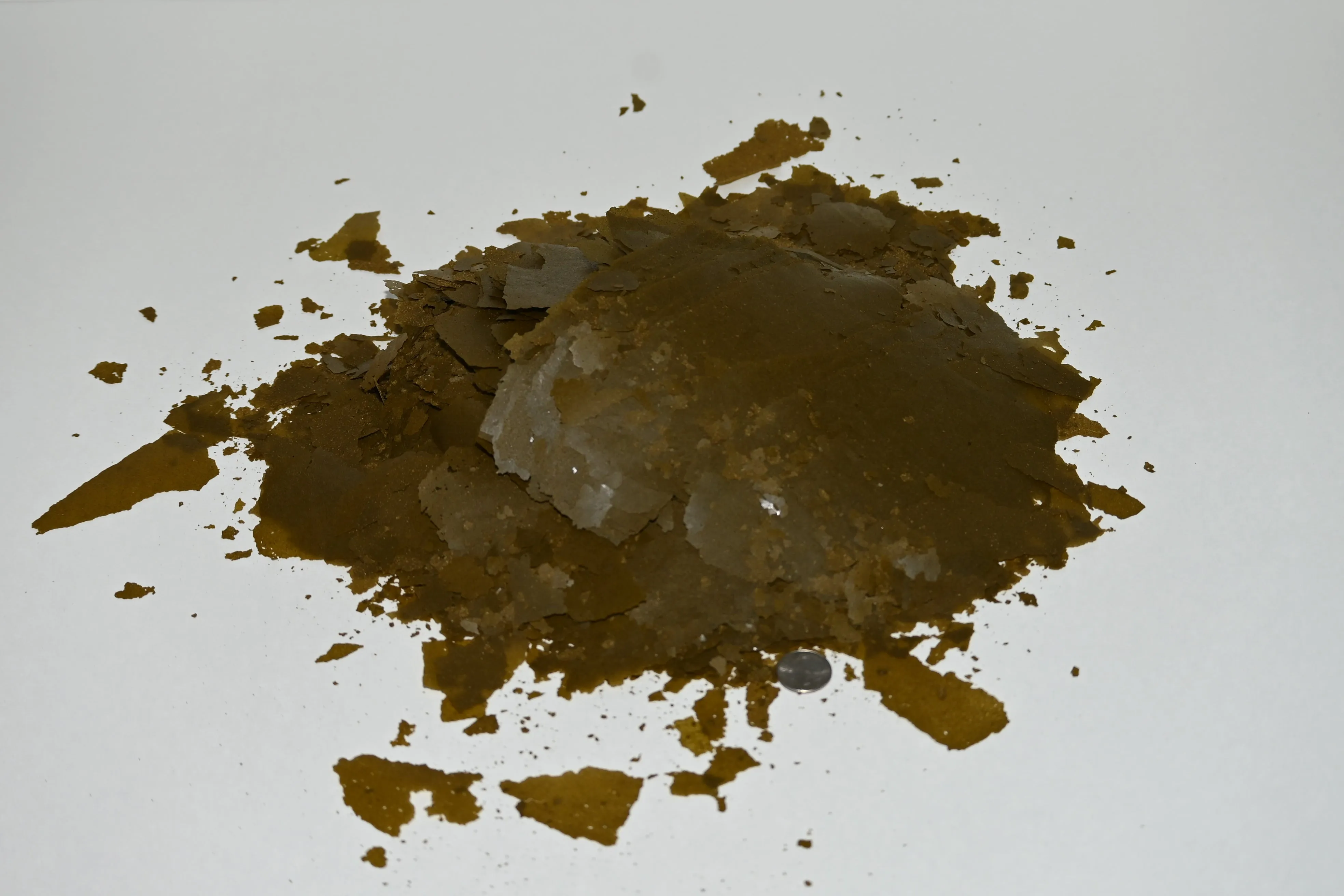 Ken's Ultra Soldier Fly Larvae & Color Enhancer Flake