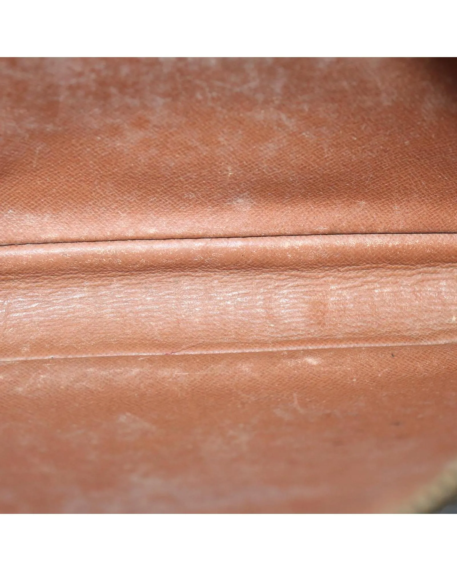 Monogram Canvas Dragonne Clutch Bag
