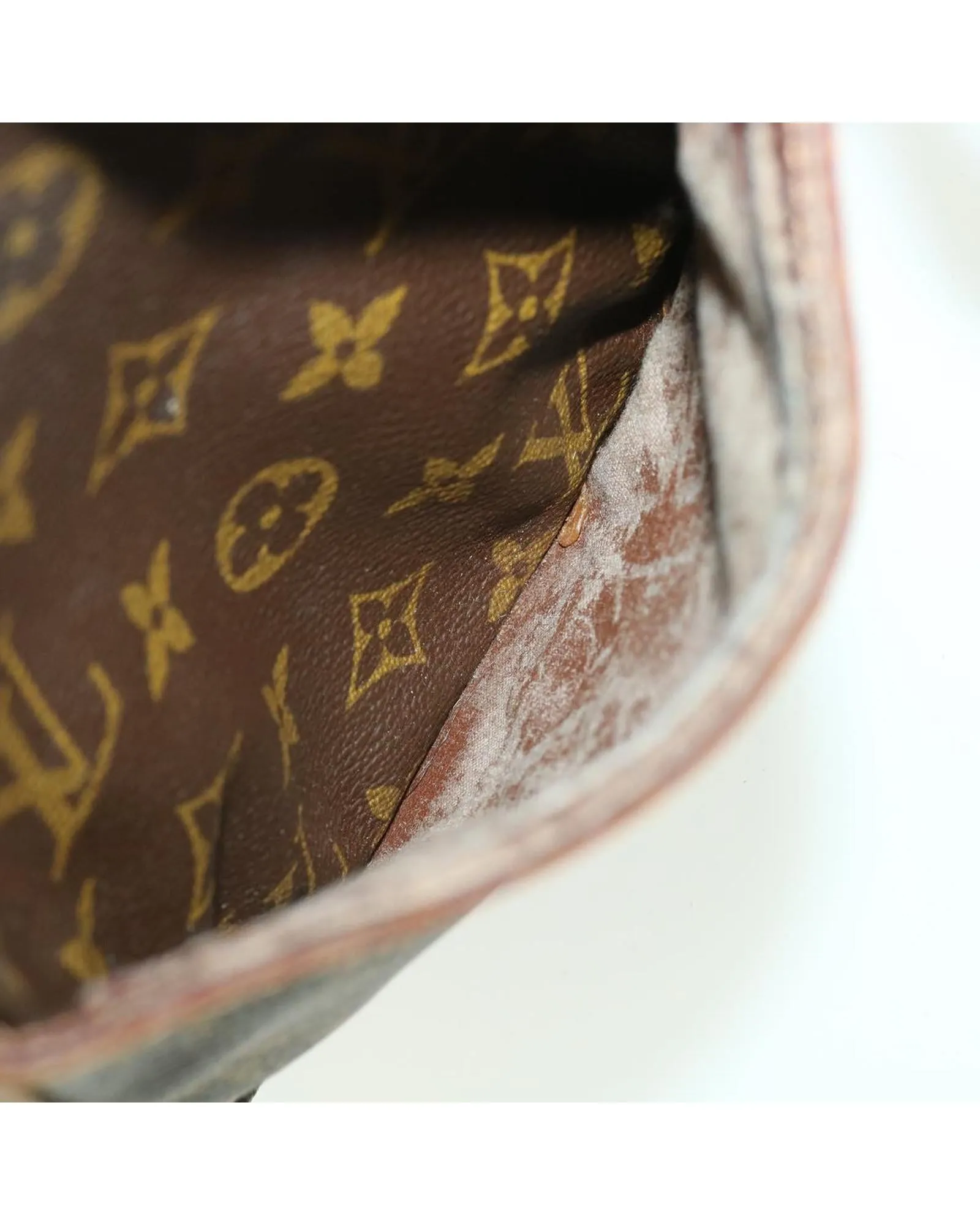 Monogram Danube Shoulder Bag