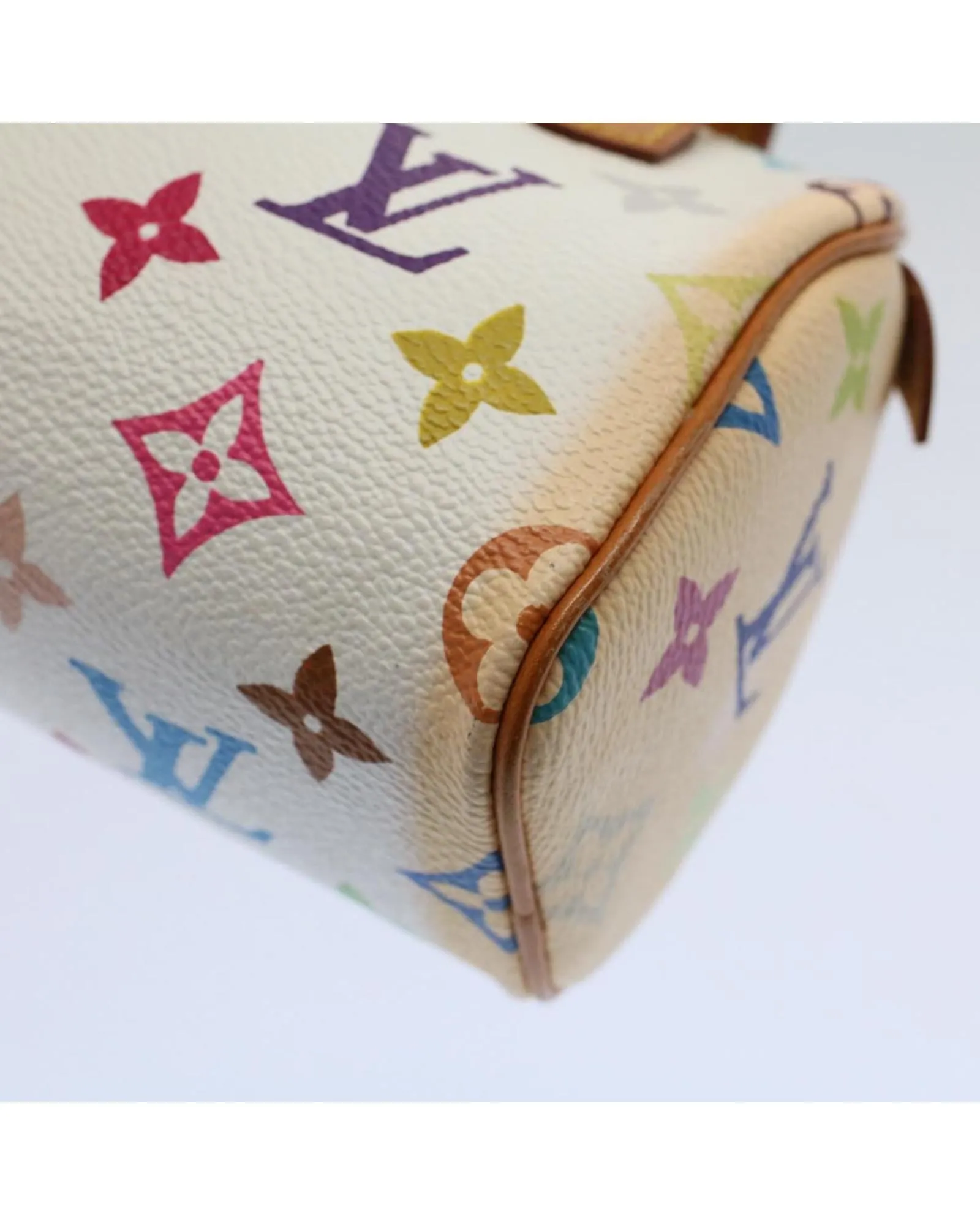 Multicolor Mini Speedy Hand Bag