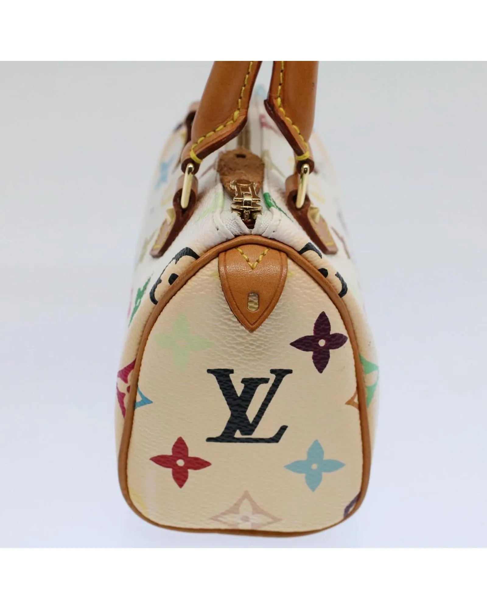 Multicolor Mini Speedy Hand Bag