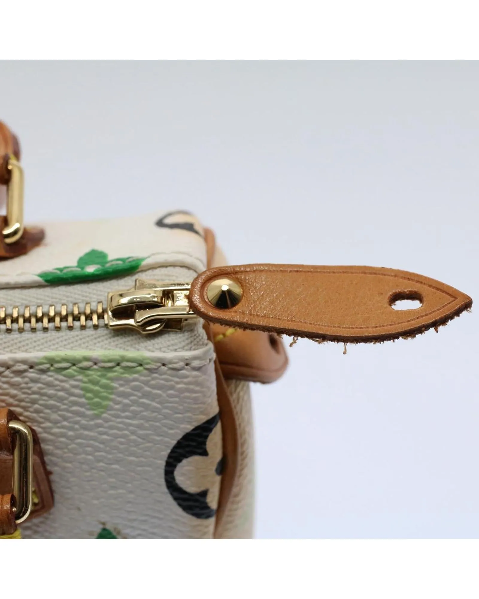 Multicolor Mini Speedy Hand Bag