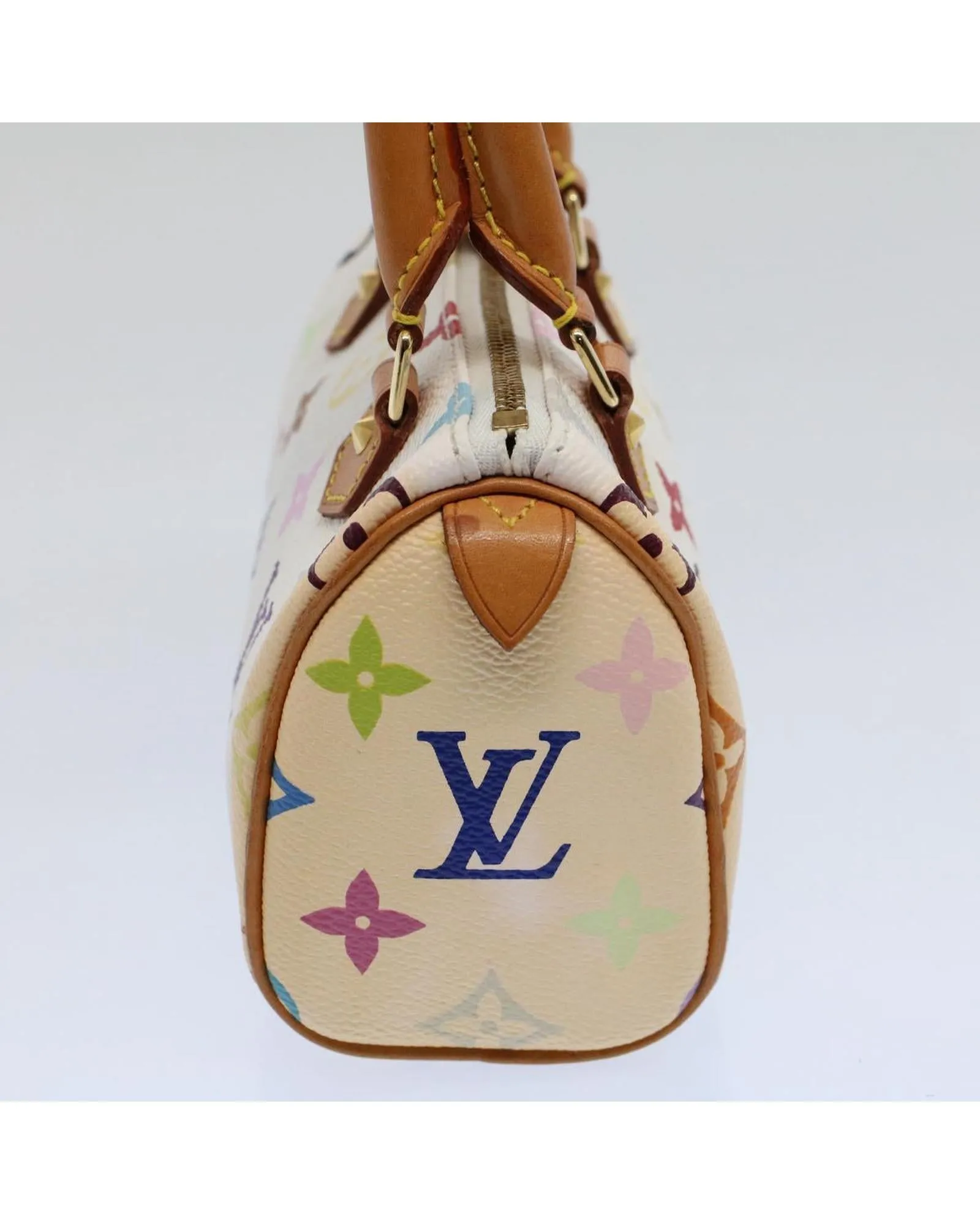 Multicolor Mini Speedy Hand Bag