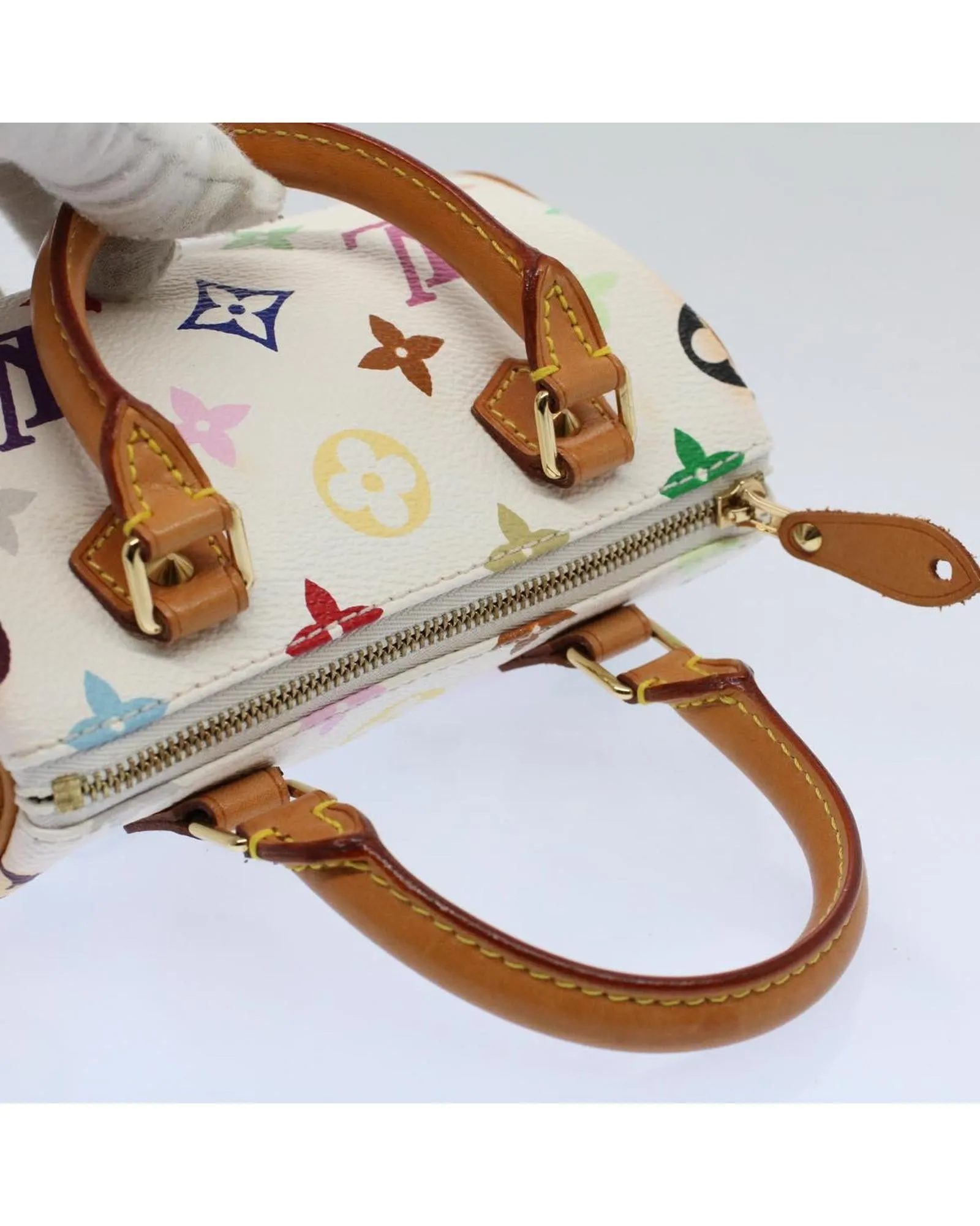 Multicolor Mini Speedy Hand Bag