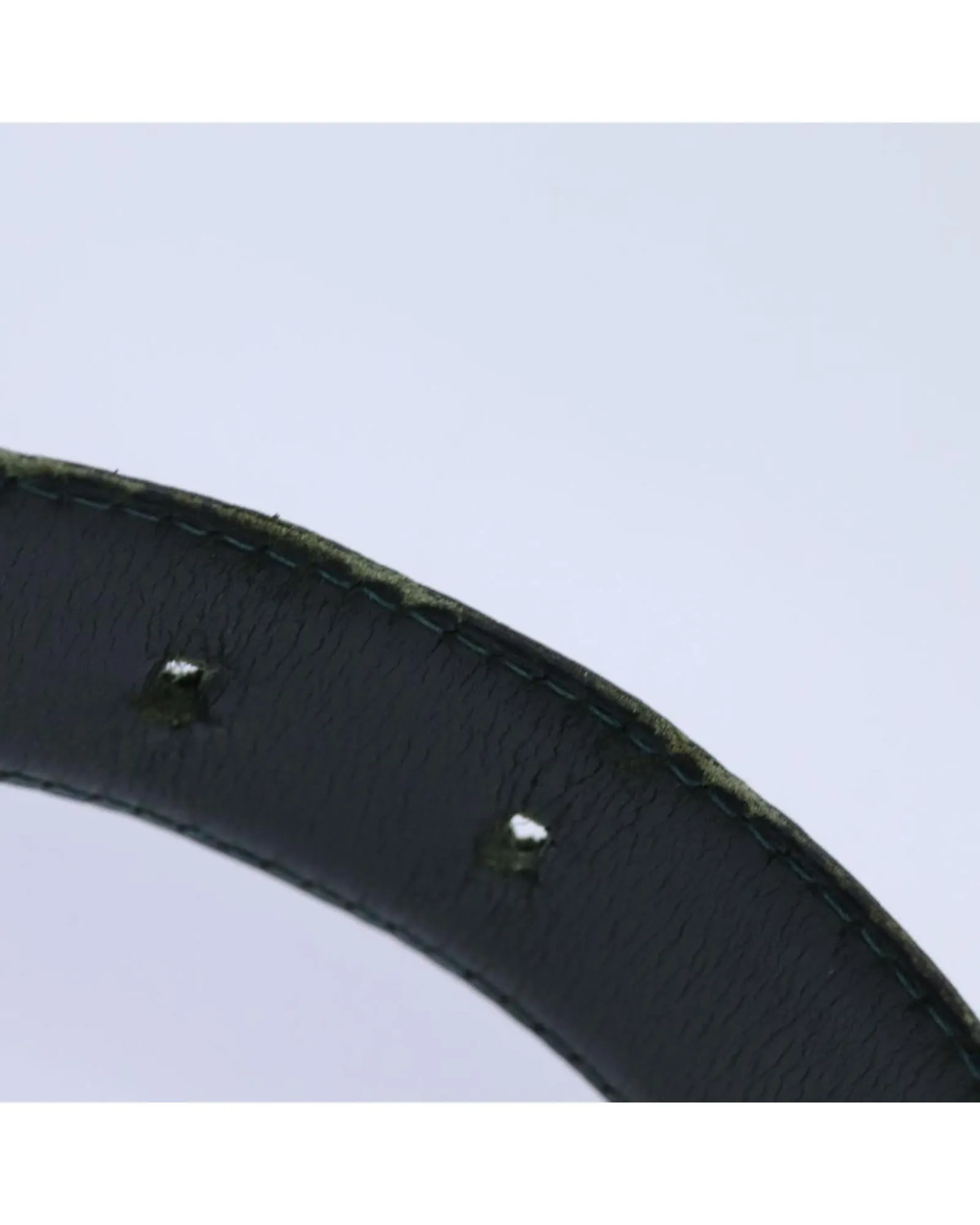 Taiga Leather Classic Belt in Epicea Color - Authentic LV