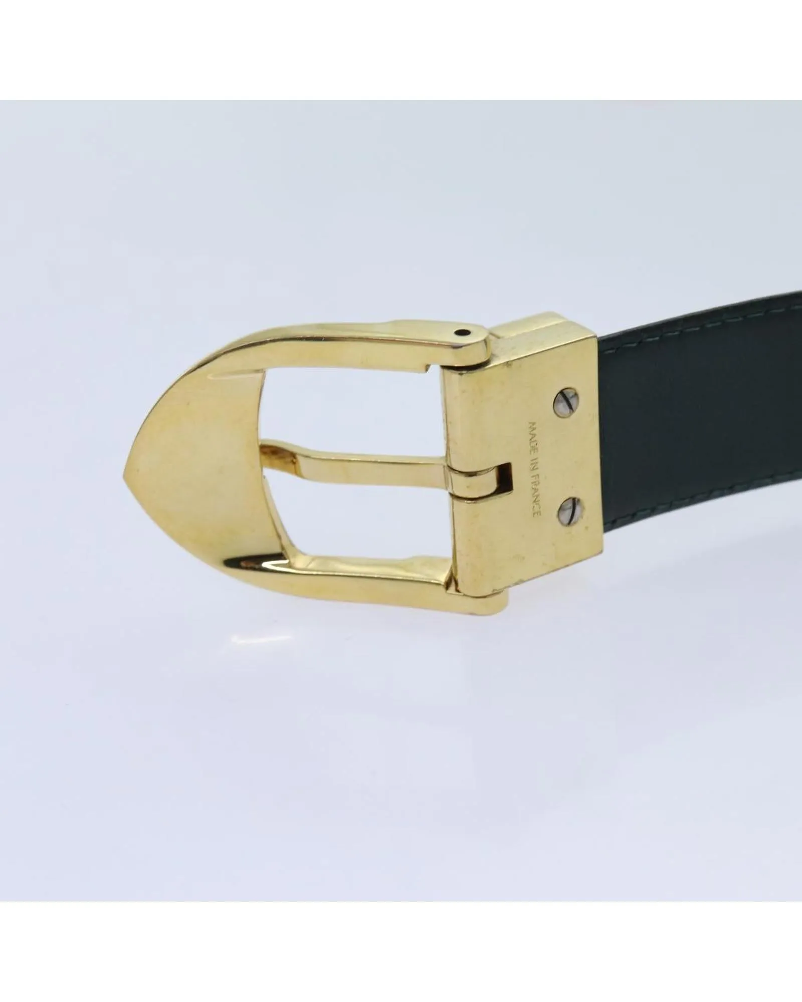 Taiga Leather Classic Belt in Epicea Color - Authentic LV