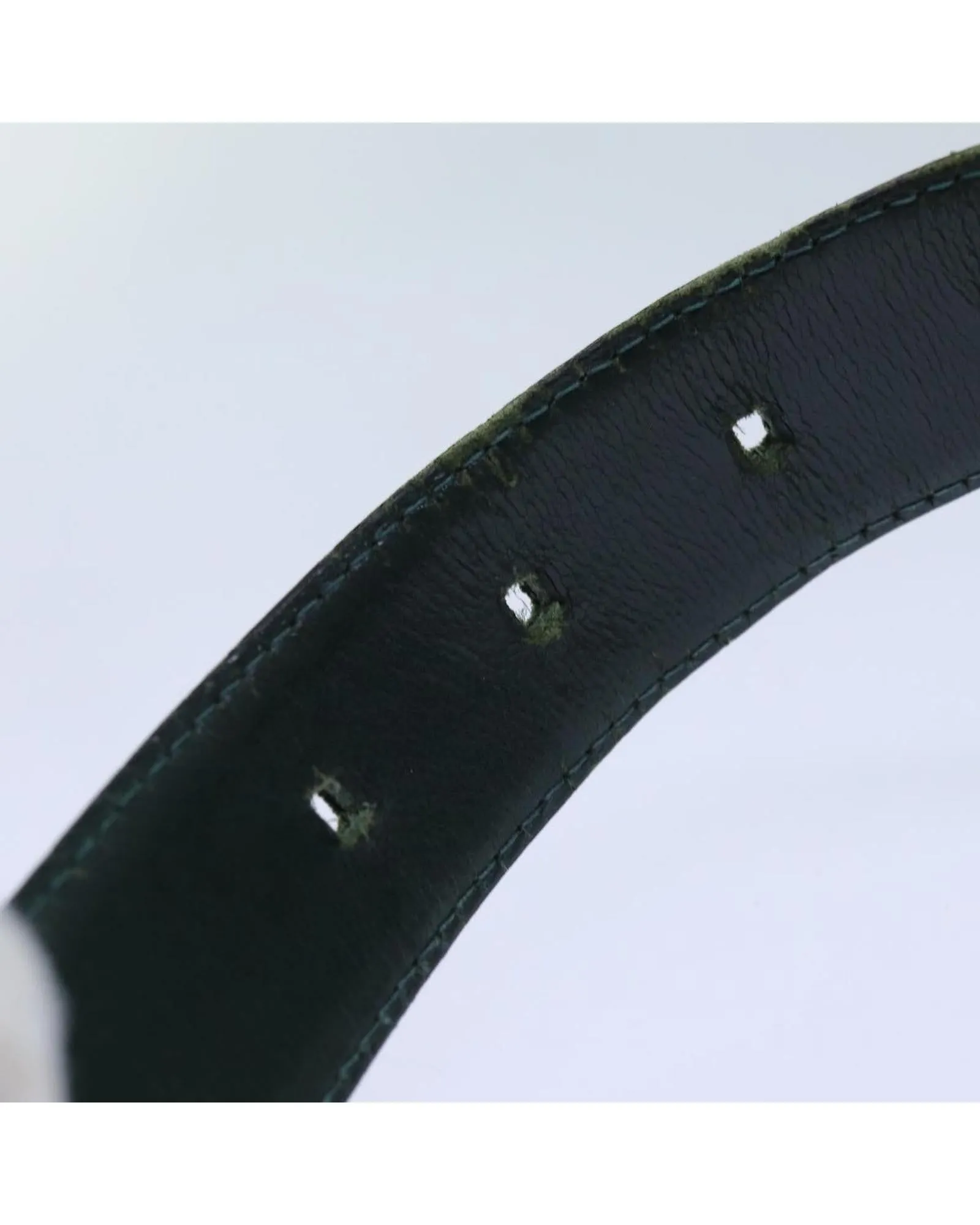 Taiga Leather Classic Belt in Epicea Color - Authentic LV